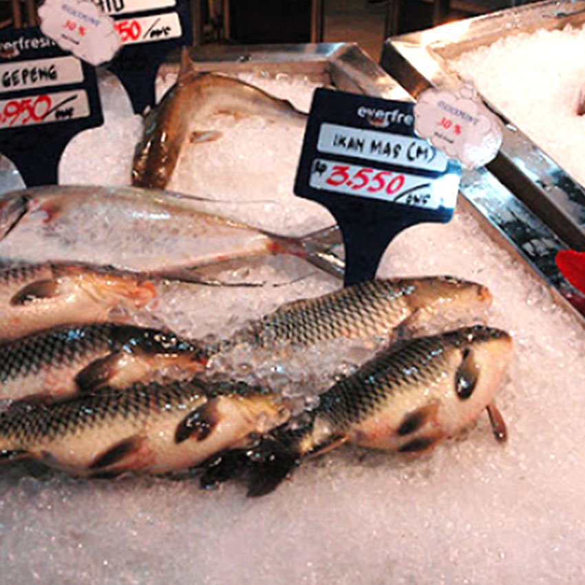 pasar-ikan-mas